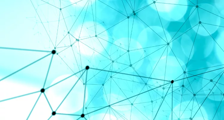 Automated Investing vs. Human Guidance
