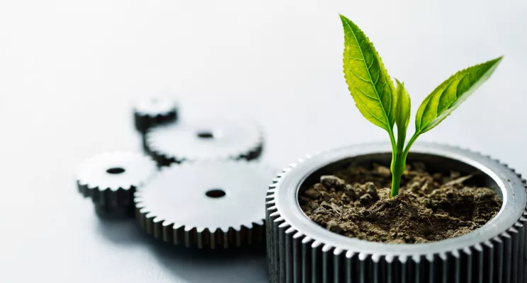 Breaking Down Socially Responsible Investing